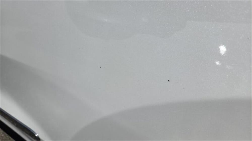 Niro Niro e-Niro 64 kWh Evolut