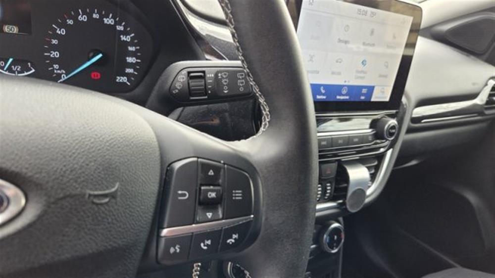 Puma Puma 1.5 EcoBlue 120 CV S