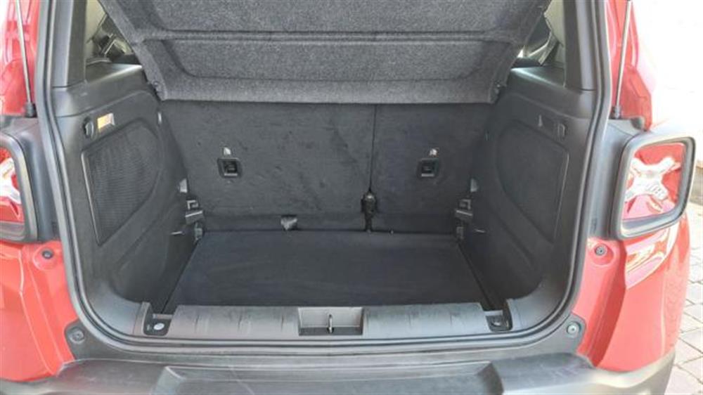 Renegade Renegade 1.6 Mjt 130 CV Longi