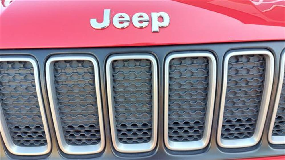 Renegade Renegade 1.6 Mjt 130 CV Longi