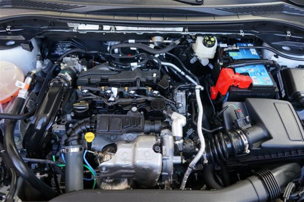 Kuga Kuga 1.5 EcoBlue 120 CV 2