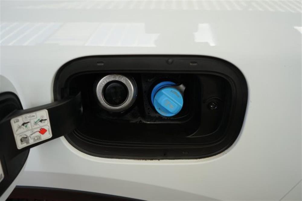 Kuga Kuga 1.5 EcoBlue 120 CV 2