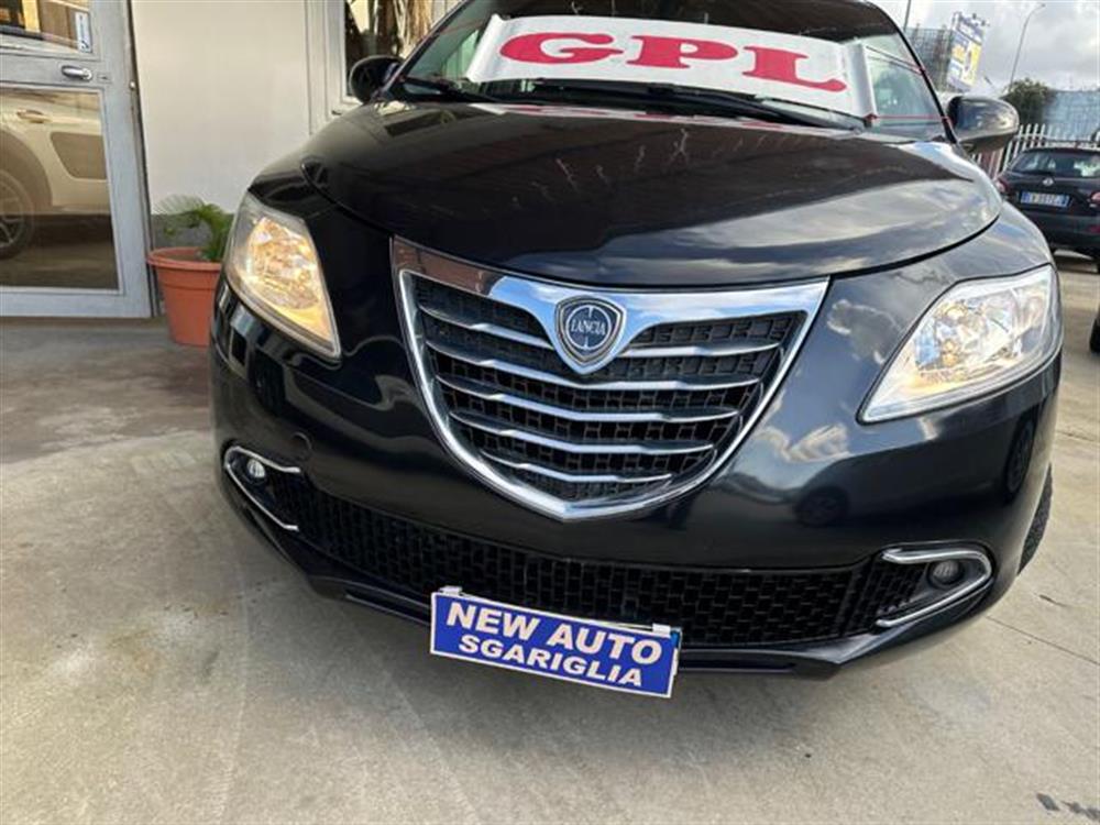 Ypsilon Ypsilon 1.2 5p.S&S Gold Imp.