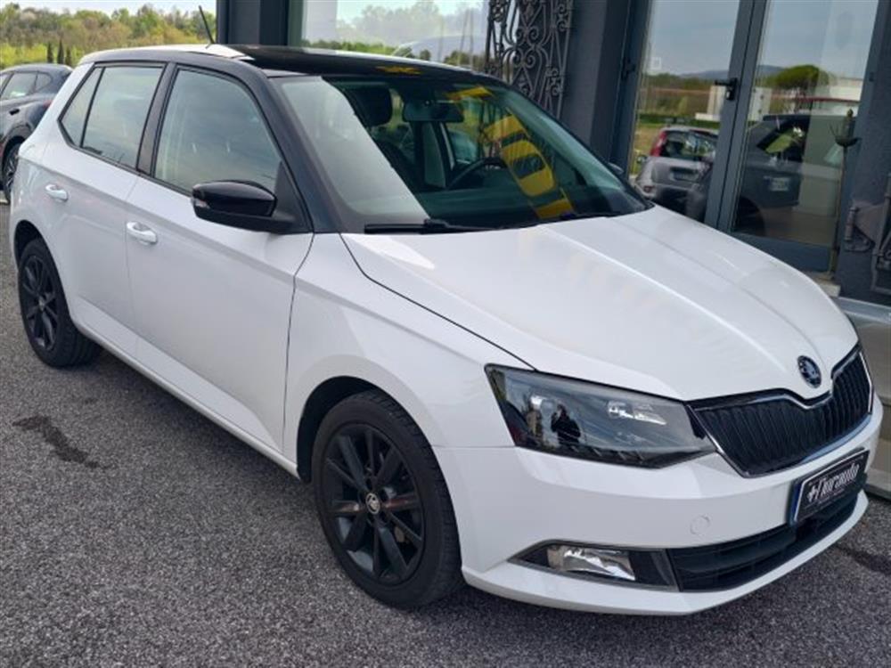 Fabia Fabia 1.4 TDI 75 CV Monte