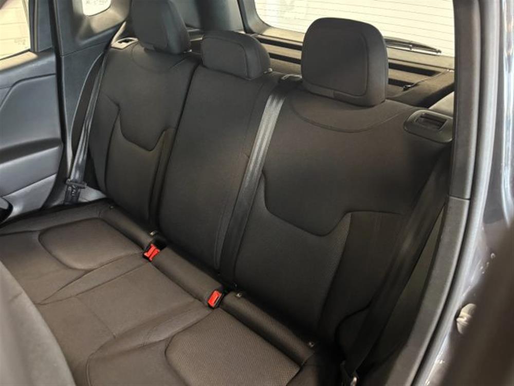 Renegade Renegade 1.6 Mjt Longitude