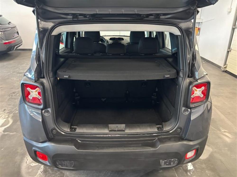 Renegade Renegade 1.6 Mjt Longitude