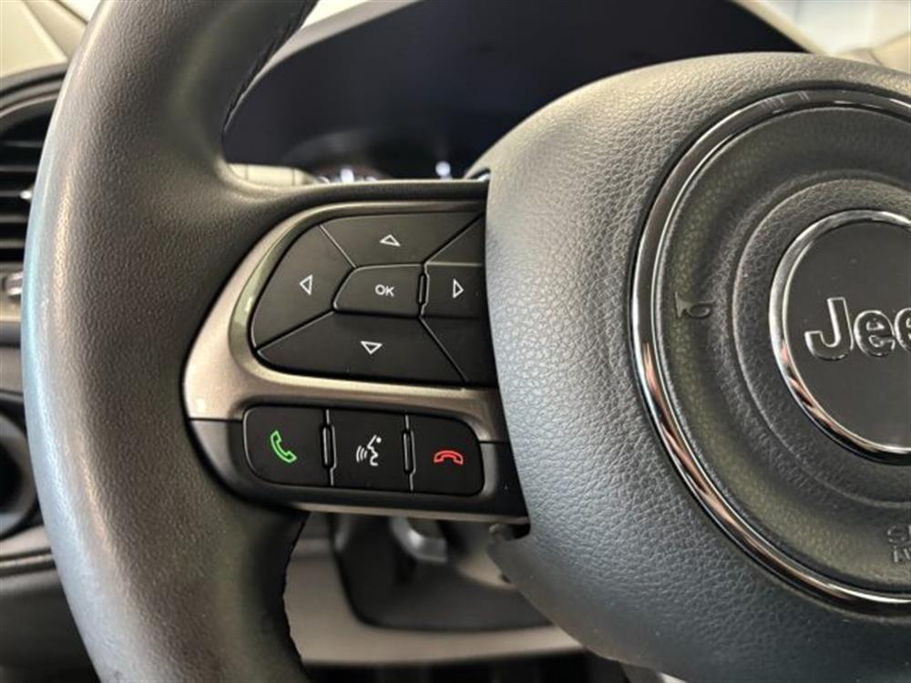 Renegade Renegade 1.6 Mjt Longitude