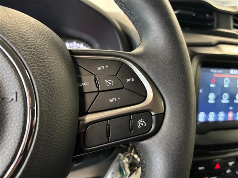 Renegade Renegade 1.6 Mjt Longitude