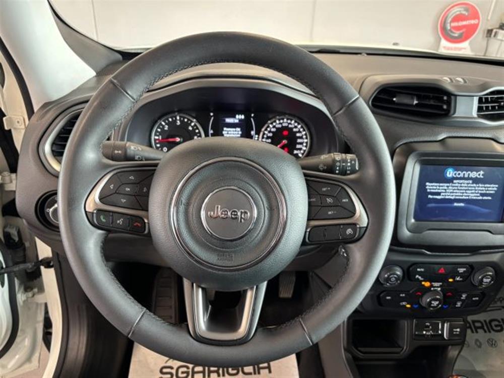 Renegade Renegade 1.6 Mjt Longitude