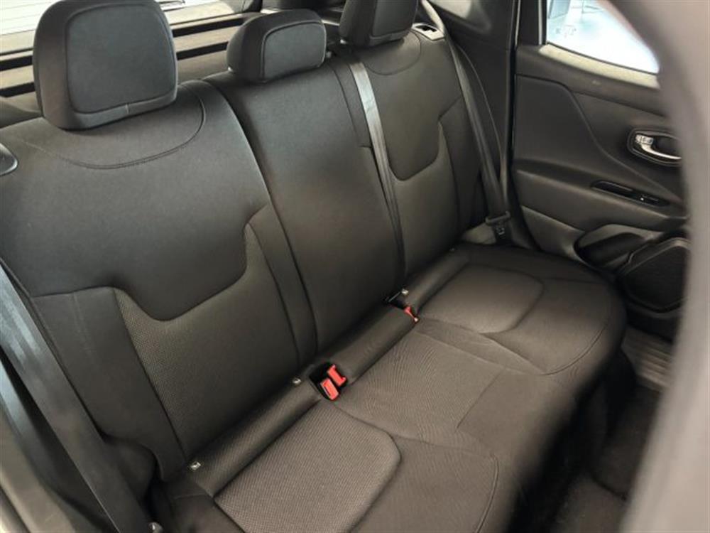 Renegade Renegade 1.6 Mjt Longitude