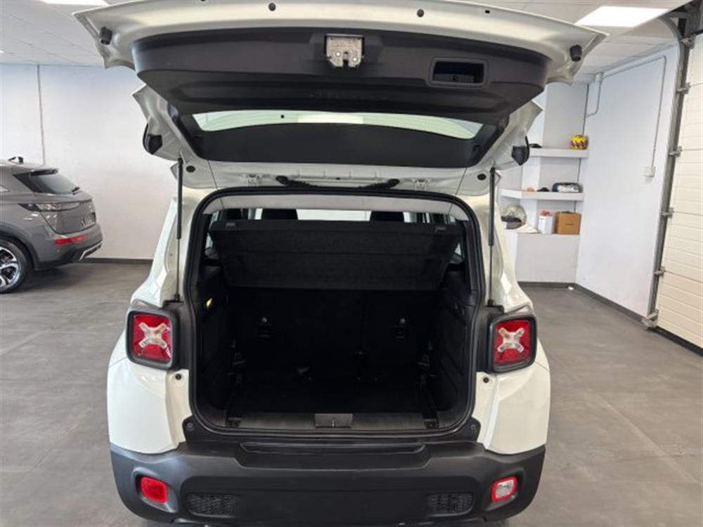 Renegade Renegade 1.6 Mjt Longitude