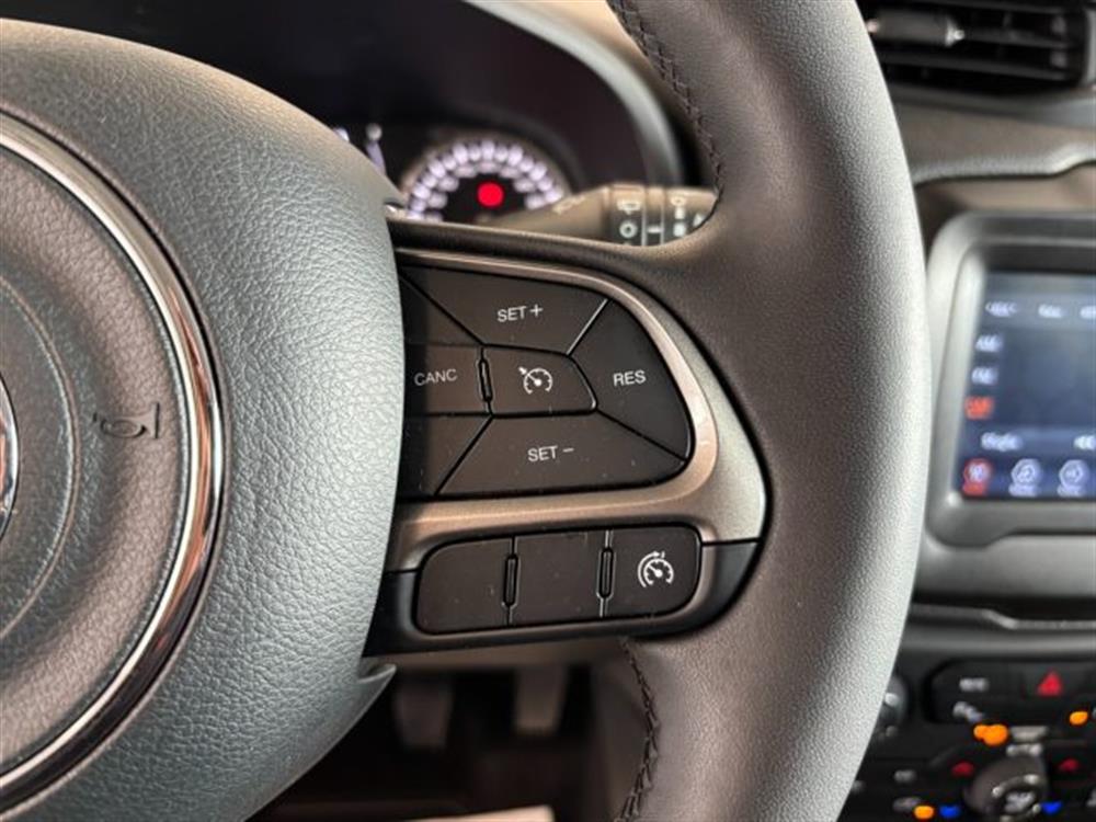 Renegade Renegade 1.6 Mjt Longitude