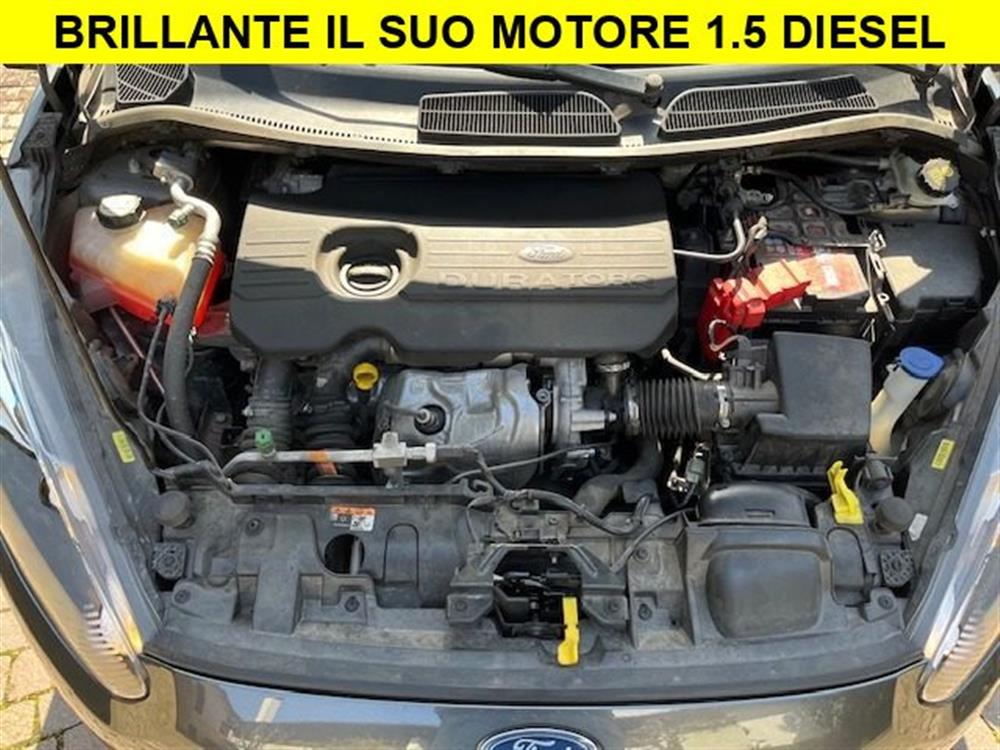 Fiesta Fiesta 1.5 TDCi 5 porte Neo