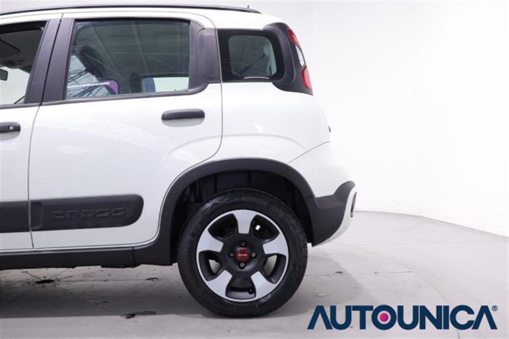 Panda Panda 1.0 FIREFLY S&S HYBR