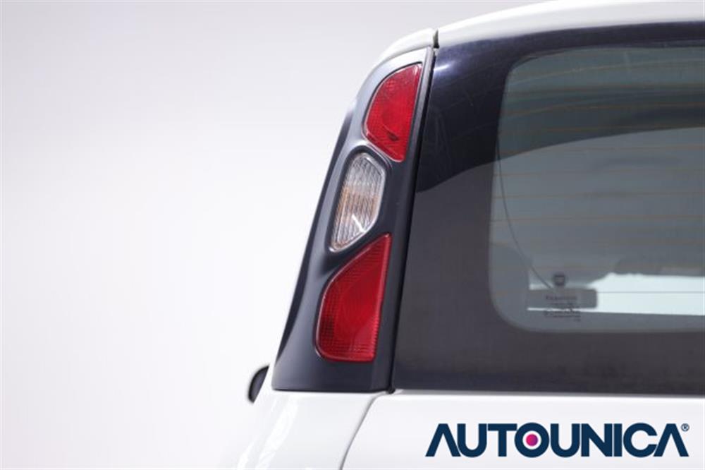 Panda Panda 1.0 FIREFLY S&S HYBR