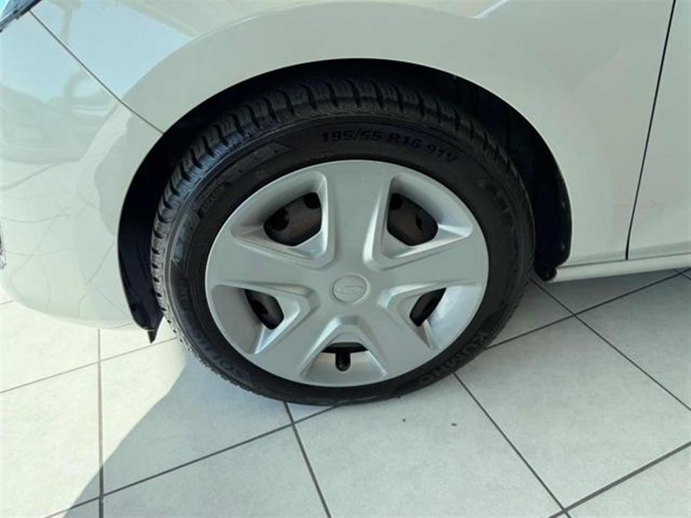 Fiesta Fiesta 1.5 EcoBlue 5 porte