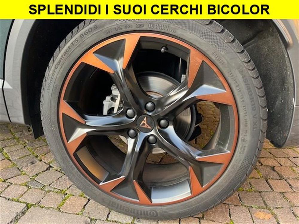 Formentor Formentor 2.0 TSI 4Drive DSG