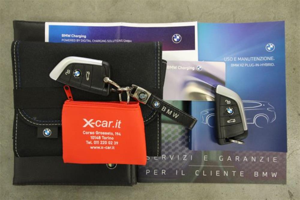 X2 X2 xDrive25e Business-X