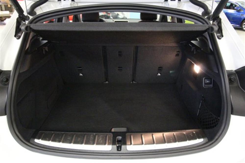 X2 X2 xDrive25e Business-X