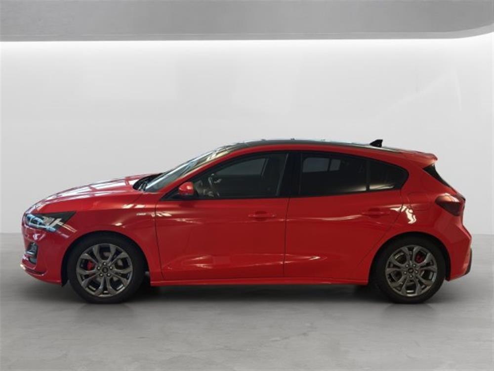 Focus Focus 1.000 BENZINA HYBRID