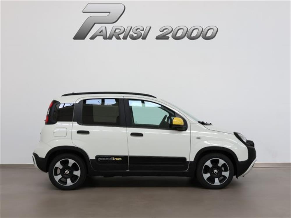 Panda Panda 1.0 S&S Hybrid Pandi
