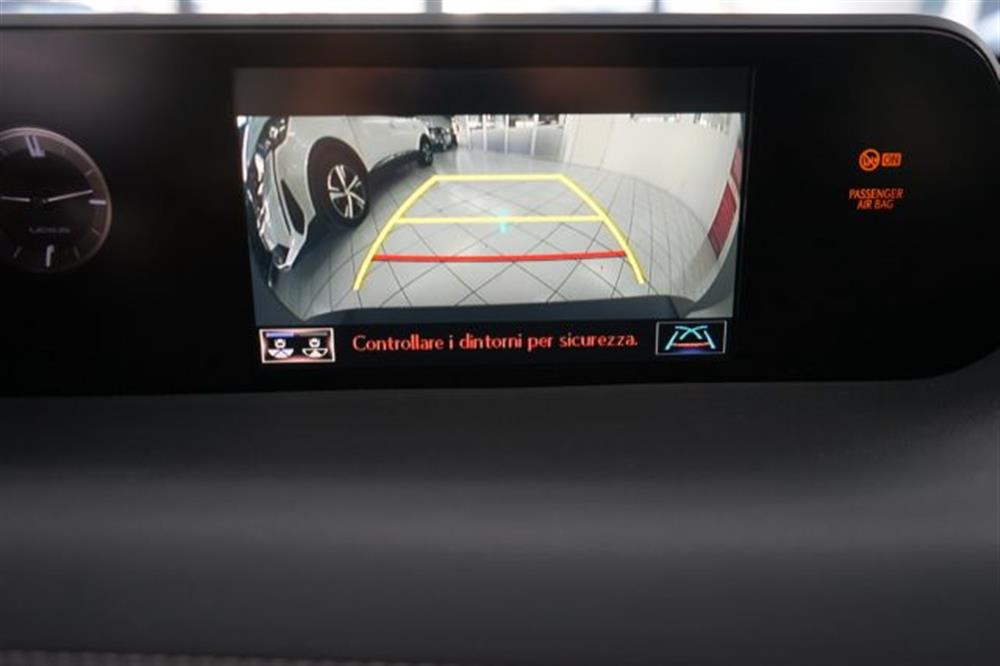 UX 250h UX 250h Hybrid 2WD Business