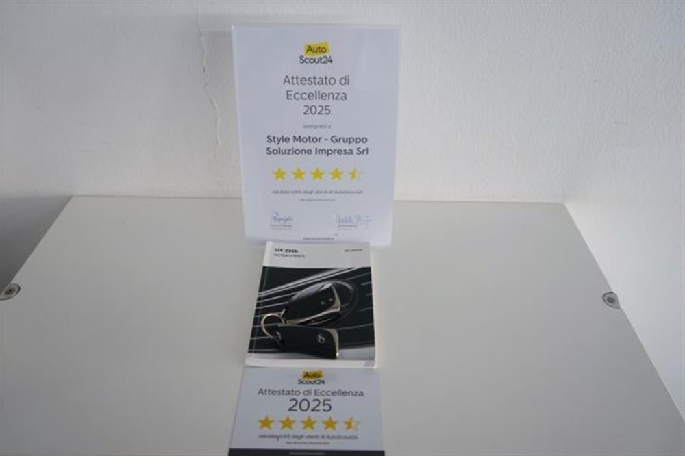 UX 250h UX 250h Hybrid 2WD Business