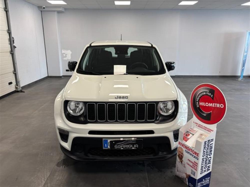Renegade Renegade 1.6 Mjt Longitude