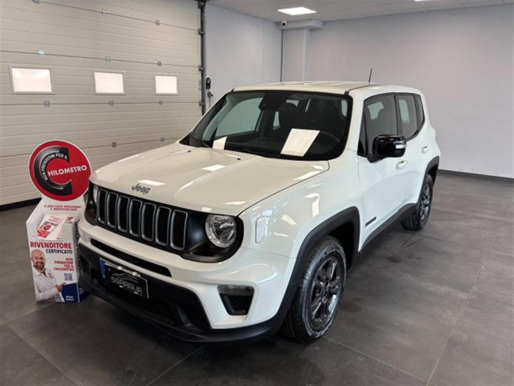Renegade Renegade 1.6 Mjt Longitude