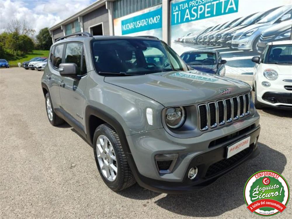 Renegade Renegade 1.0 T3 Limited
