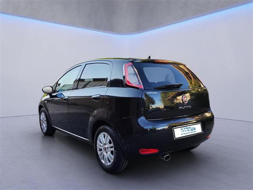 Punto Punto 1.2 8V 5 porte Loung