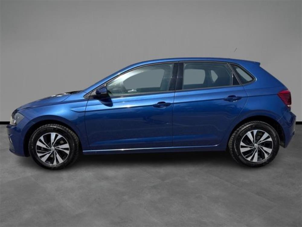 Polo Polo 1.6 TDI 95 CV 5p. Co