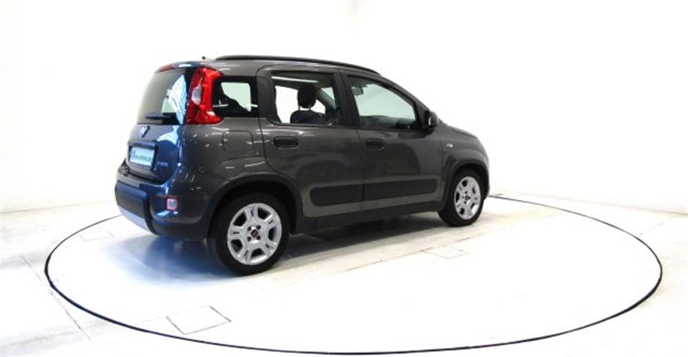 Panda Panda 1.0 FireFly Hybrid M