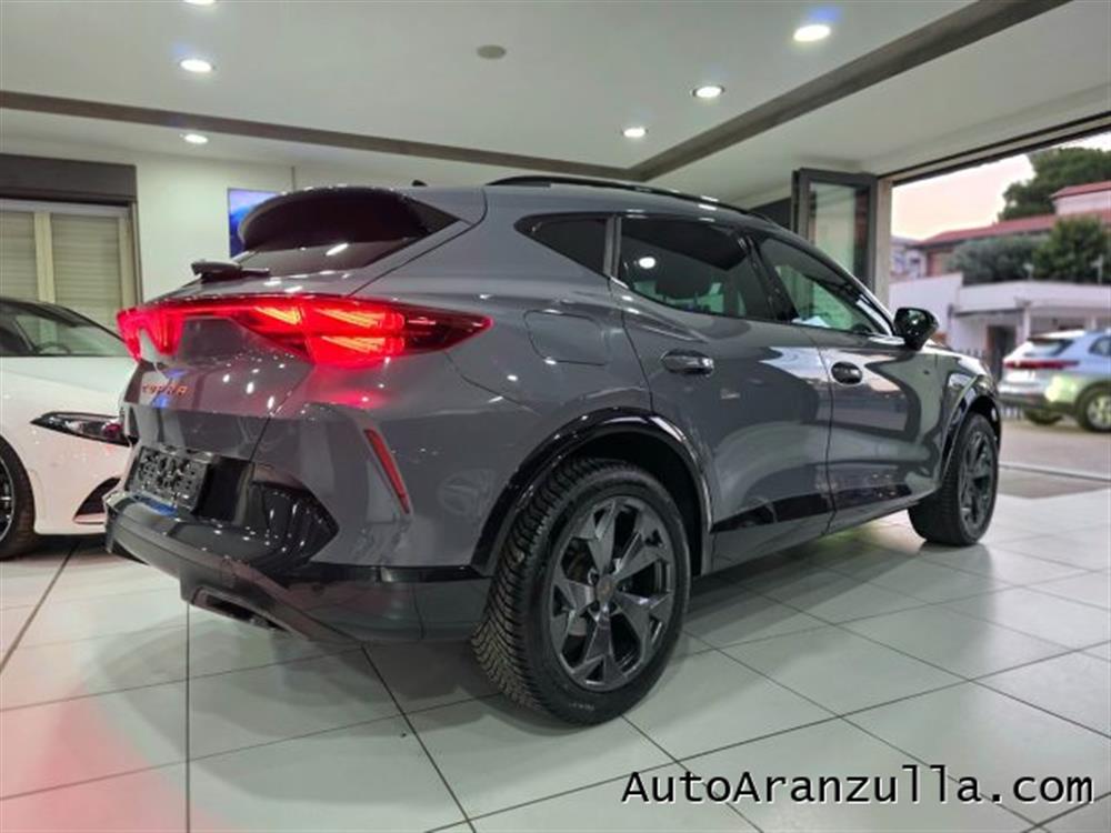 Formentor Formentor NEW 2.0 TDI 150CV DS