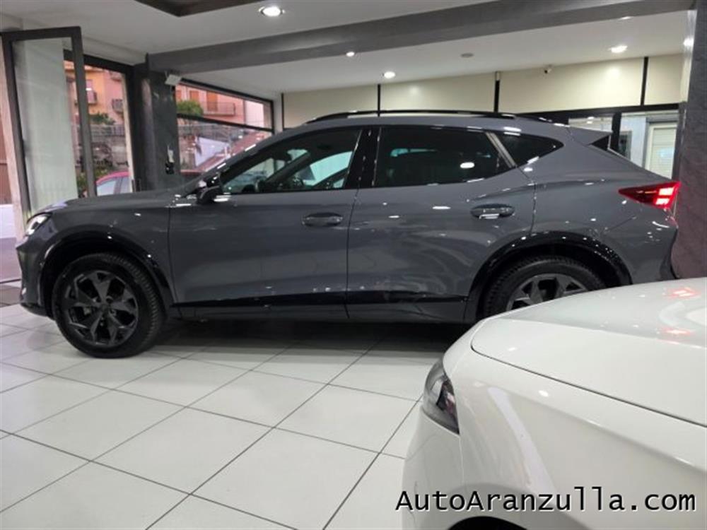 Formentor Formentor NEW 2.0 TDI 150CV DS