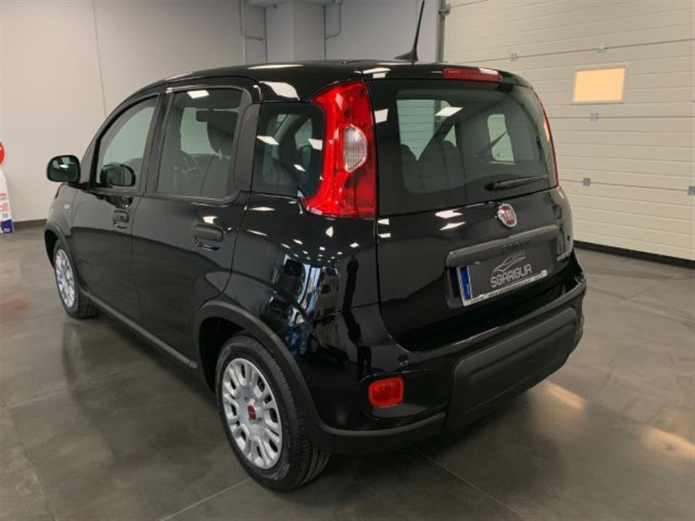 Panda Panda 1.0 Benzina Hybrid C
