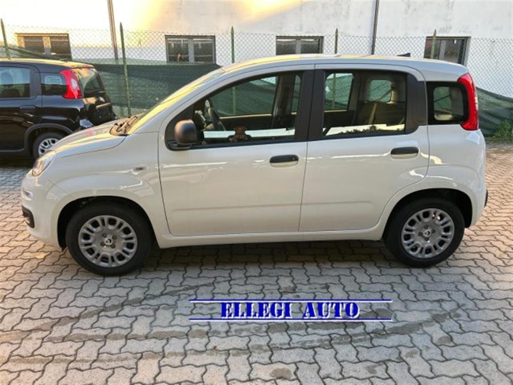 Panda Panda PROMO FINANZ 1.0 HYB