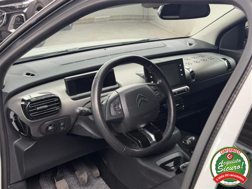 C4 Cactus C4 Cactus 110 CV S&S SHINE UNI