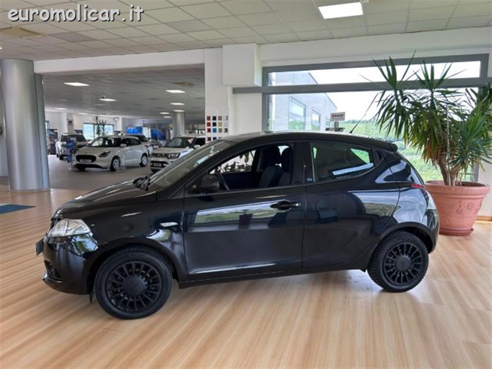 Ypsilon Ypsilon 1.2 Elefantino Blu -