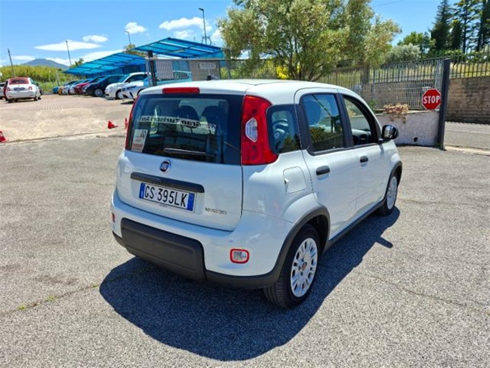 Panda Panda 1.0 FireFly Hybrid C