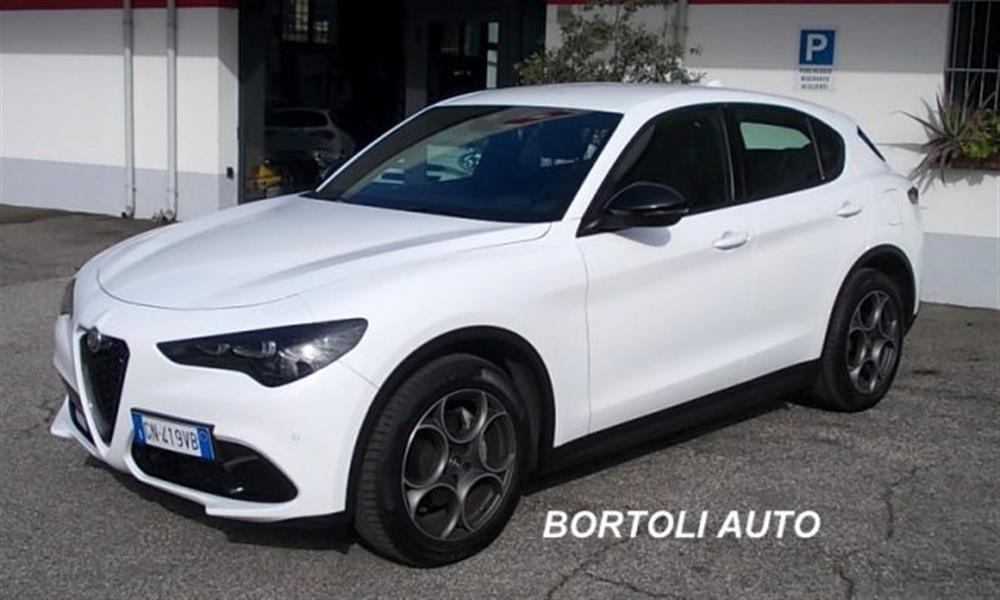 Stelvio Stelvio 2.2 TD 210cv 54.000
