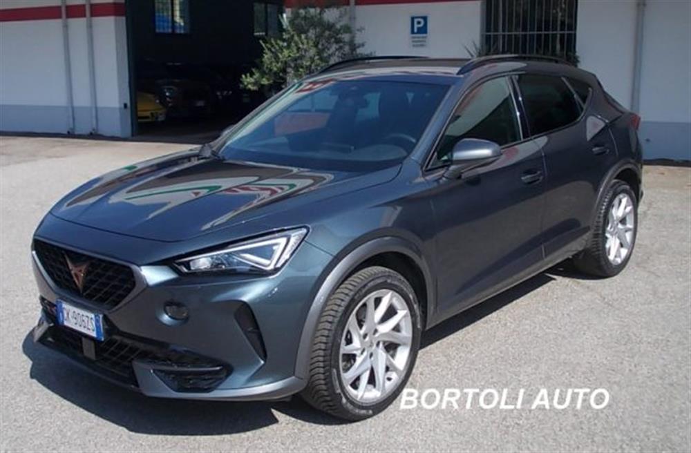 Formentor Formentor 2.0 TDI 30.000 KM 4