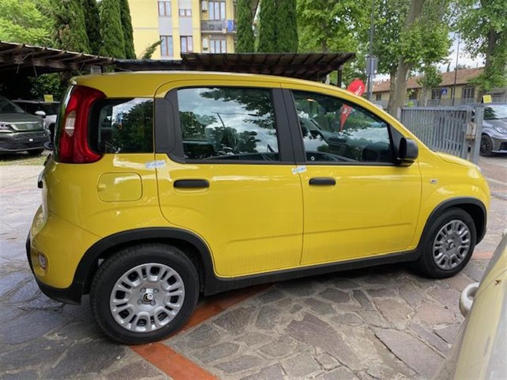 Panda Panda 1.0 FireFly S&S Hybr