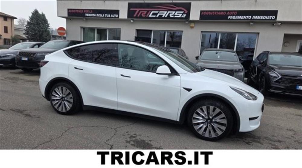 Model Y Model Y RWD PERMUTE UNICOPRO