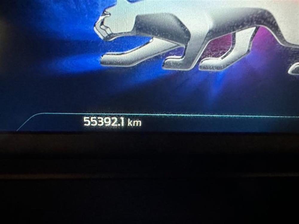 Puma Puma 1.000 BENZINA HYBRID