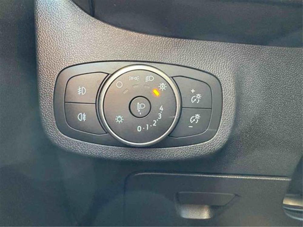 Fiesta Fiesta 1.5 EcoBlue 5 porte
