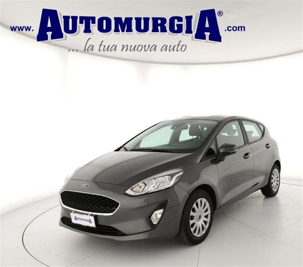 Fiesta Fiesta 1.1 75 CV 5 porte Ti