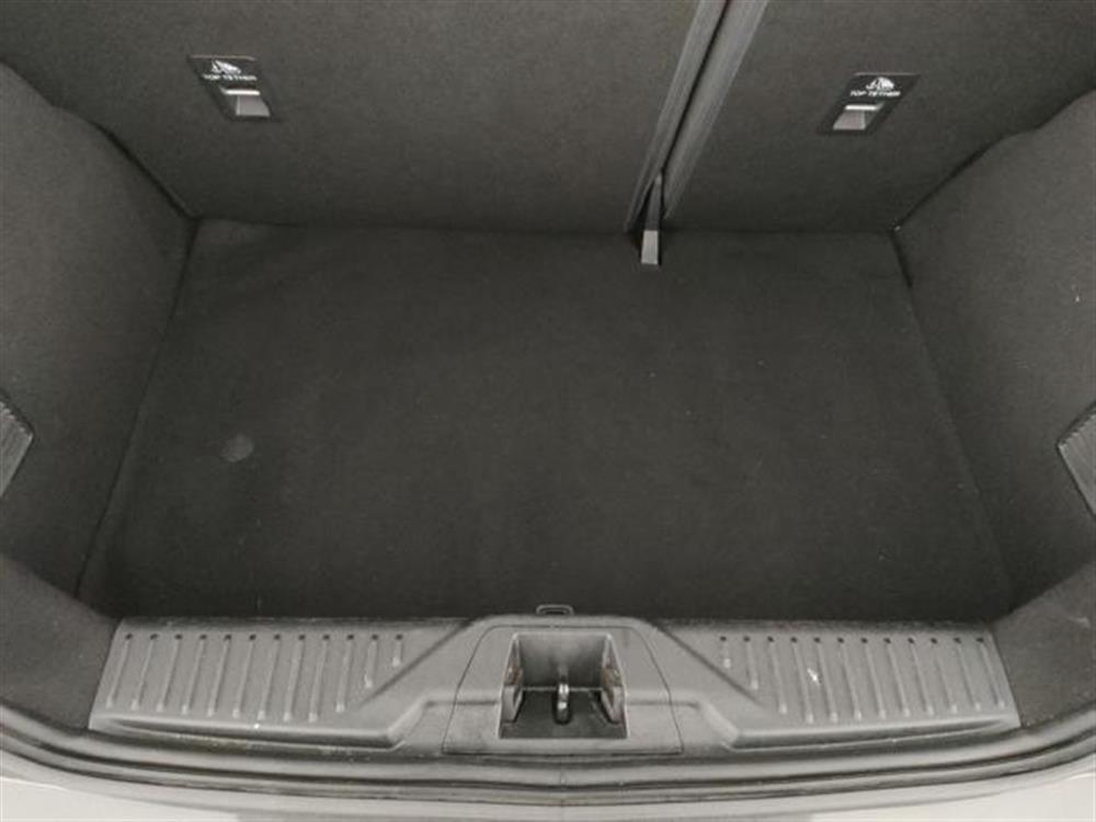 Fiesta Fiesta 1.1 75 CV 5 porte Ti