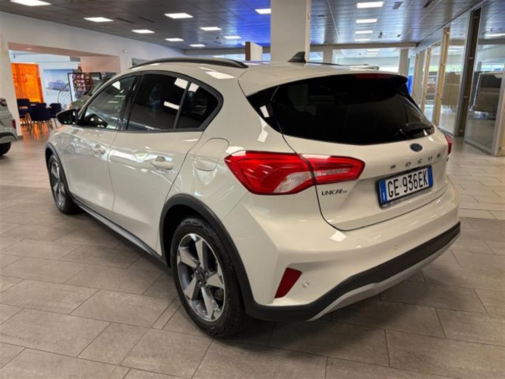 Focus Focus 1.0 ibrida/benzina 1