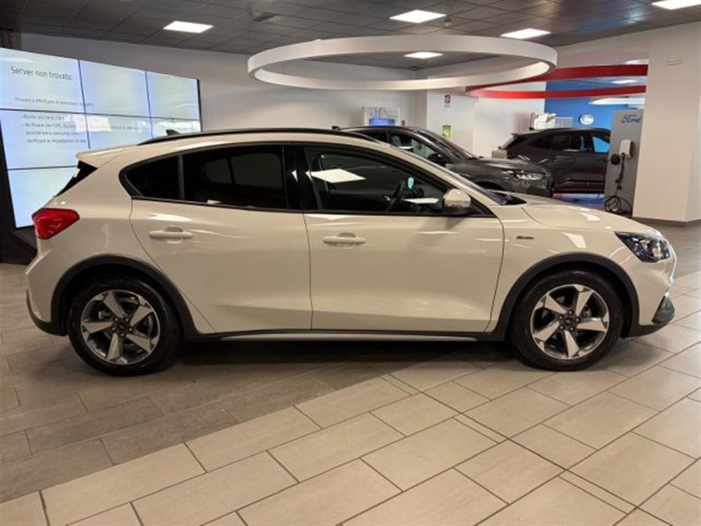 Focus Focus 1.0 ibrida/benzina 1